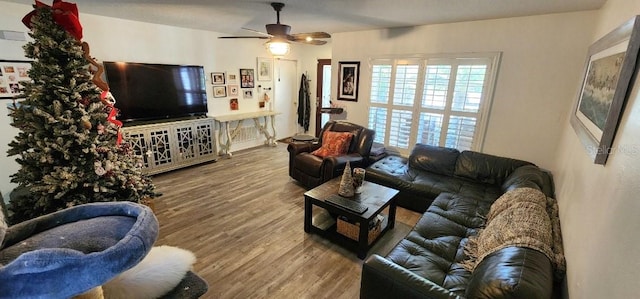 living area featuring a ceiling fan and wood finished floors