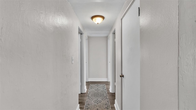 hallway featuring dark wood-type flooring and a textured wall