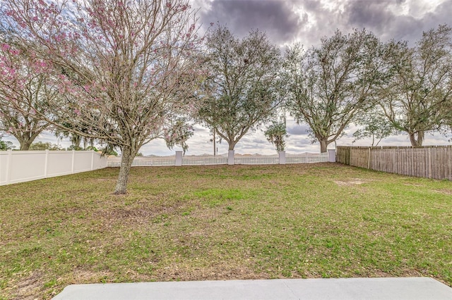 view of yard with a fenced backyard