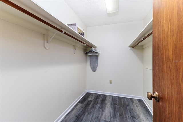spacious closet featuring dark wood-type flooring