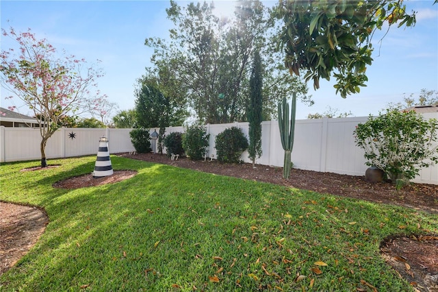 view of yard with a fenced backyard