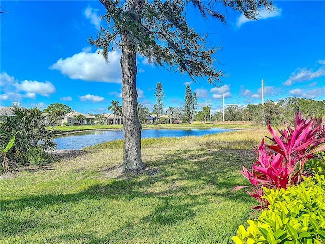 view of yard with a water view