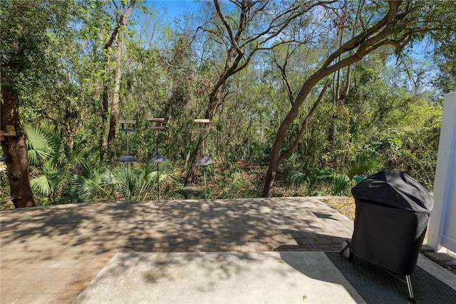 view of patio / terrace with grilling area