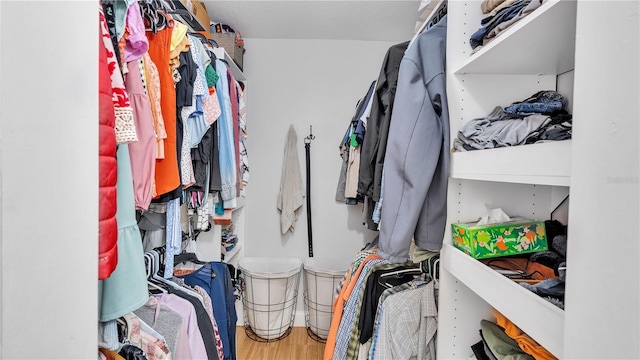 walk in closet featuring wood finished floors