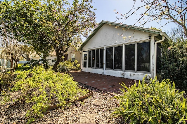 back of house with a patio area and a sunroom