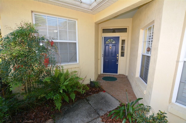 doorway to property featuring stucco siding