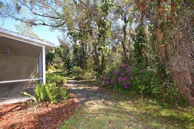 view of yard with a ceiling fan