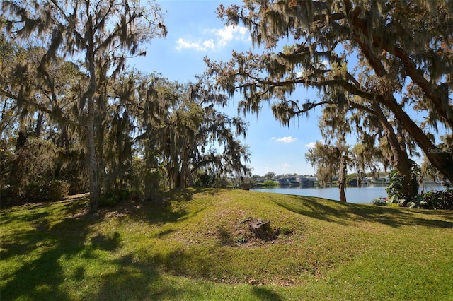 view of yard with a water view