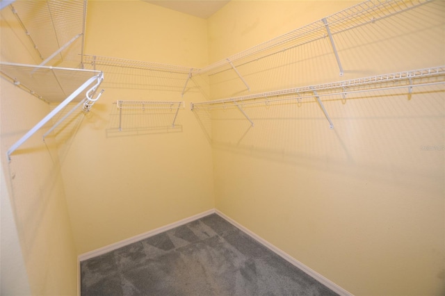 spacious closet featuring dark colored carpet