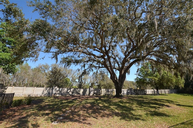 view of yard featuring fence