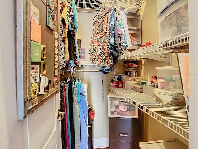 11175 Hyde St, Weeki Wachee, FL 34614 - view of walk in closet