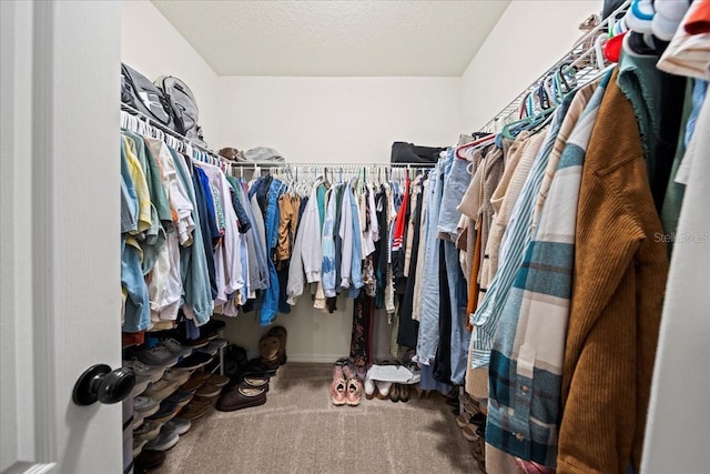 spacious closet with carpet