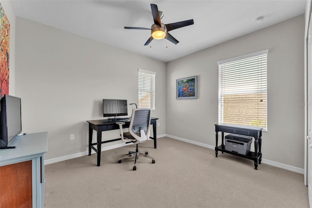 7048 White Willow Ct, Sarasota, FL 34243 - photo 44