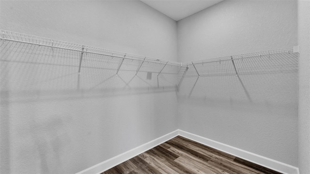 spacious closet with dark wood finished floors