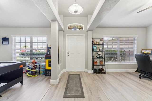 foyer entrance featuring wood finished floors, a wealth of natural light, and baseboards