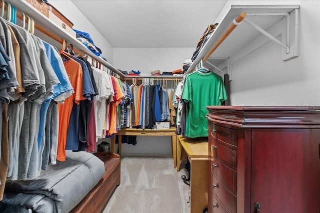 spacious closet with carpet