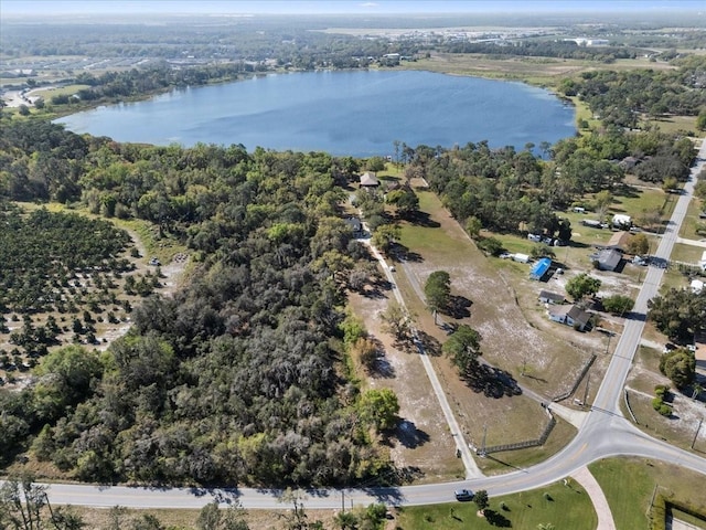 drone / aerial view featuring a water view and a wooded view