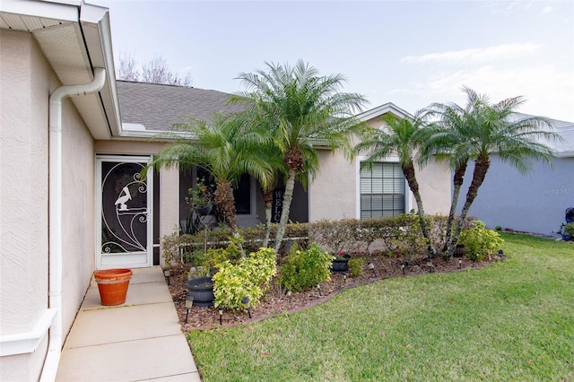 entrance to property featuring stucco siding, a yard, and roof with shingles