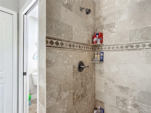 room details with tiled shower