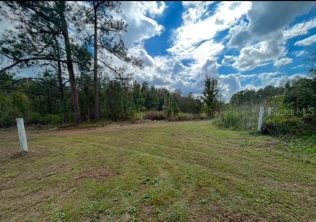 13333 Misti Loop, Lakeland FL, 33809 land for sale