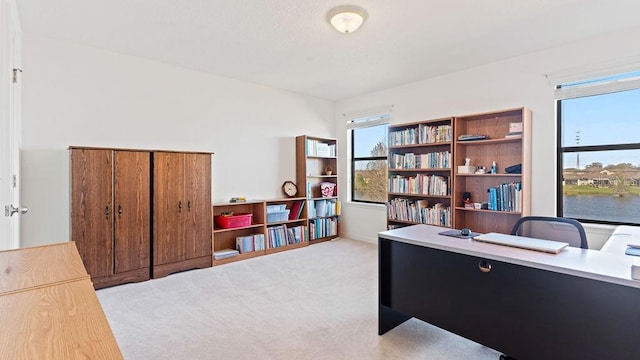 office area with light carpet