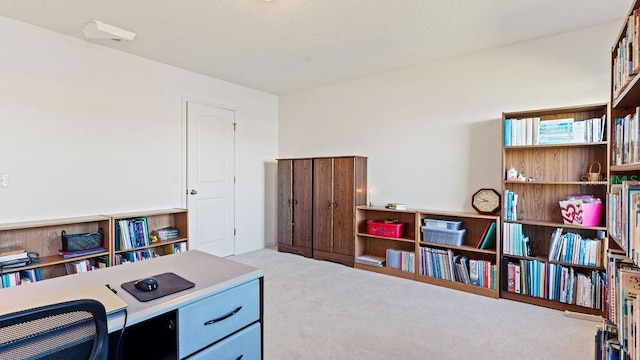 view of carpeted office