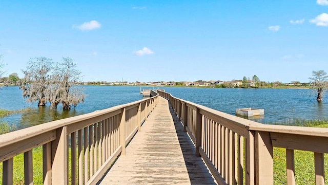 dock area with a water view