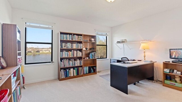 office space featuring light carpet and baseboards