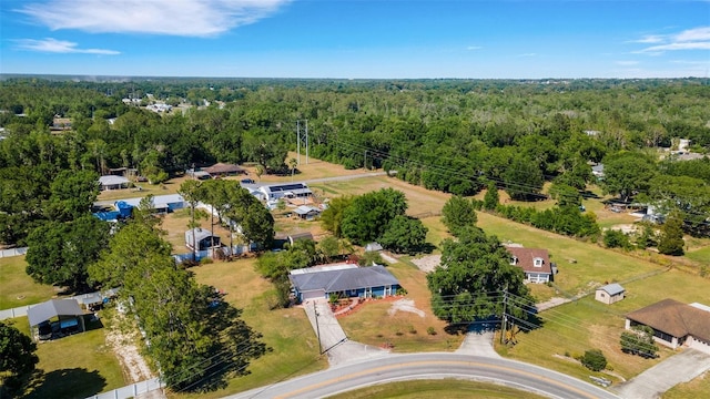 4643 1st St NW, Lakeland, FL 33810 - bird's eye view with a view of trees