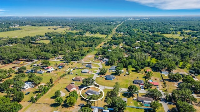 4643 1st St NW, Lakeland, FL 33810 - bird's eye view featuring a view of trees