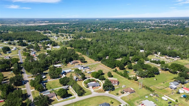 4643 1st St NW, Lakeland, FL 33810 - birds eye view of property with a forest view