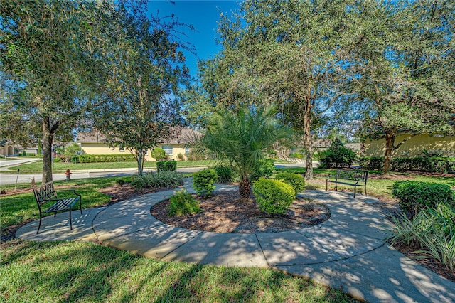 view of community with a lawn