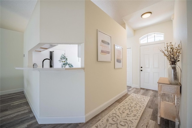 entrance foyer with baseboards and wood finished floors