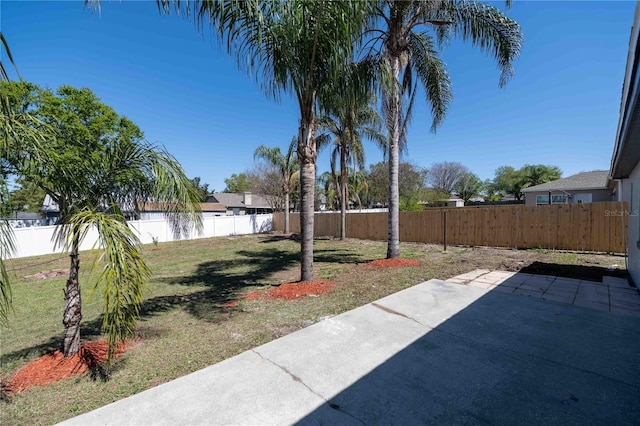 view of yard with a fenced backyard and a patio