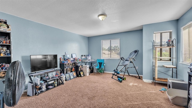 workout room featuring a textured ceiling, a wealth of natural light, and carpet flooring