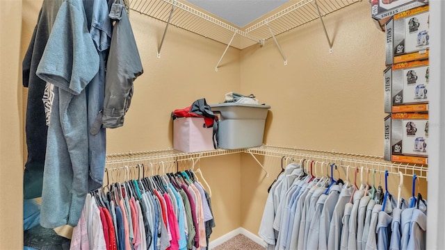 spacious closet with carpet floors