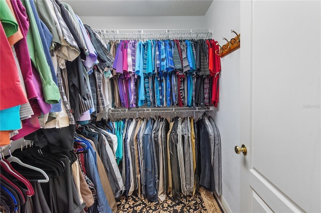 view of spacious closet