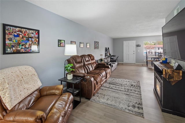 living room featuring wood finished floors and baseboards