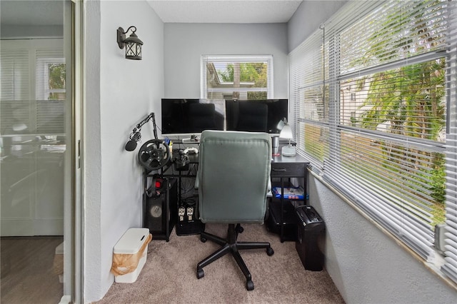 carpeted home office with a textured wall