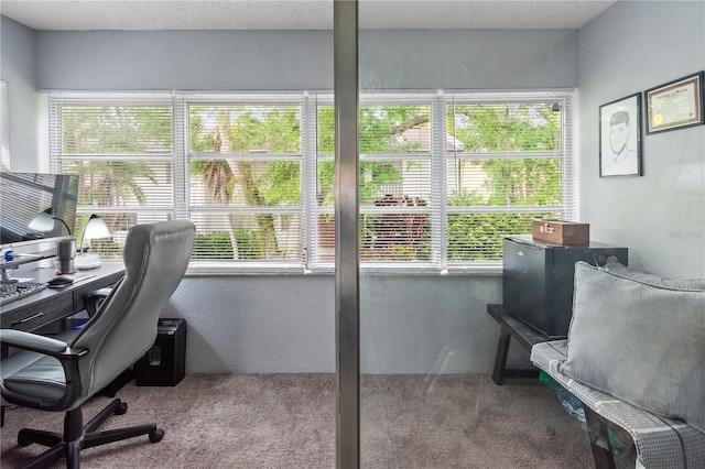 carpeted office featuring a textured wall