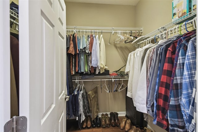 view of walk in closet