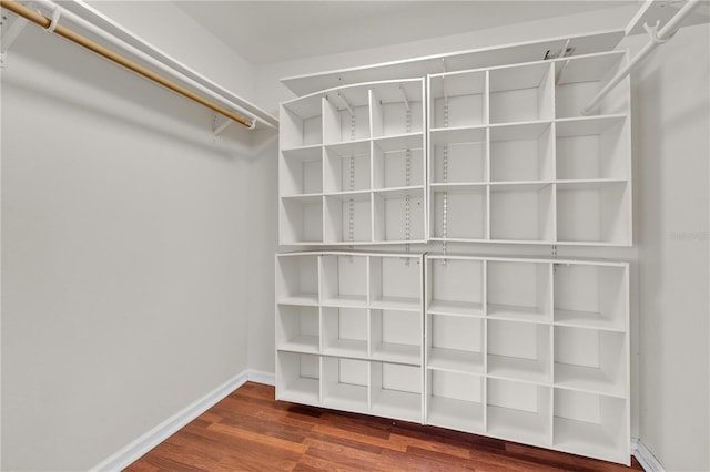 walk in closet with wood finished floors