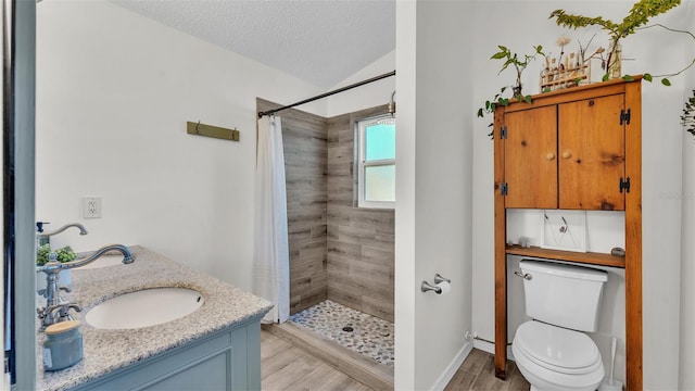 bathroom featuring a textured ceiling, toilet, a stall shower, and a sink