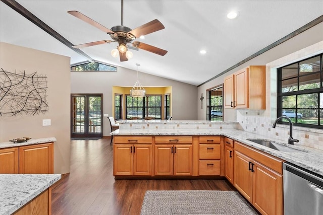 kitchen featuring dark wood-type flooring, a sink, light stone counters, stainless steel dishwasher, and a peninsula