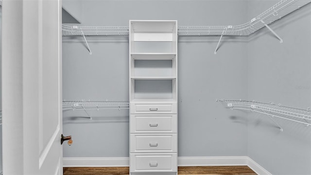 spacious closet featuring wood finished floors