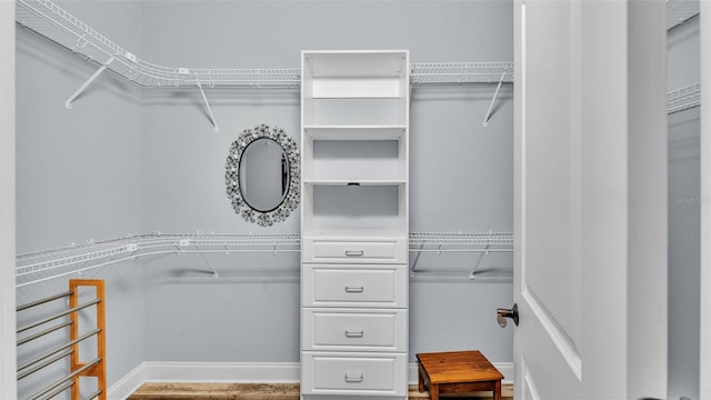 view of spacious closet