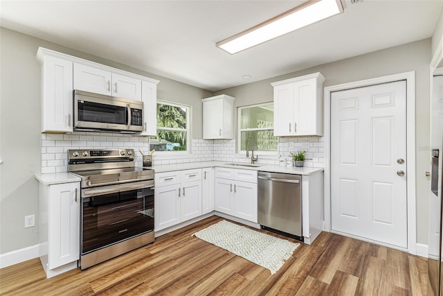 1310 Walt Williams Rd, Lakeland, FL 33809 - photo 9