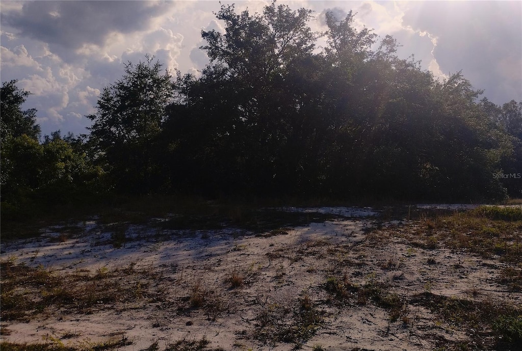 0 Cedarwood Dr N, Lake Wales, FL 33898 - photo 2