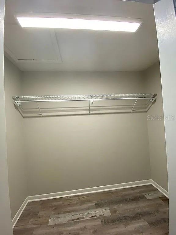 spacious closet featuring wood finished floors