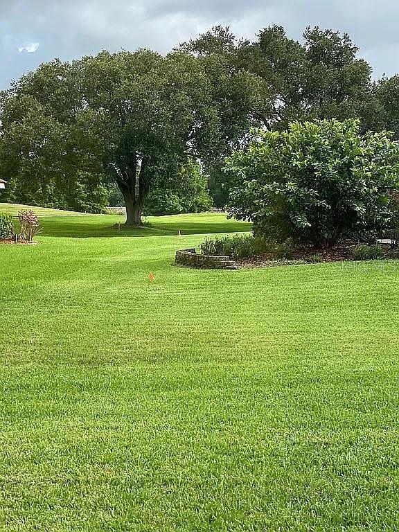 view of home's community with a lawn